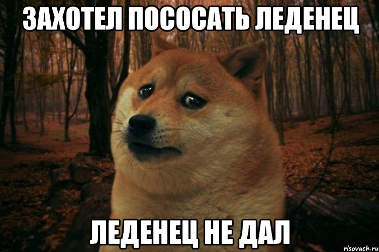 Захотел пососать леденец Леденец не дал, Мем SAD DOGE