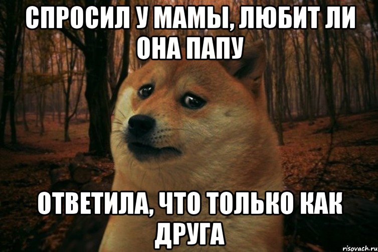 спросил у мамы, любит ли она папу ответила, что только как друга, Мем SAD DOGE