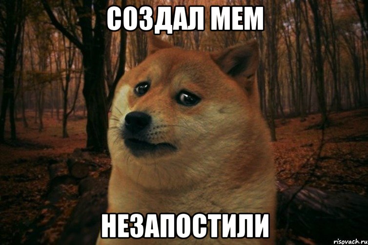 Создал мем незапостили, Мем SAD DOGE