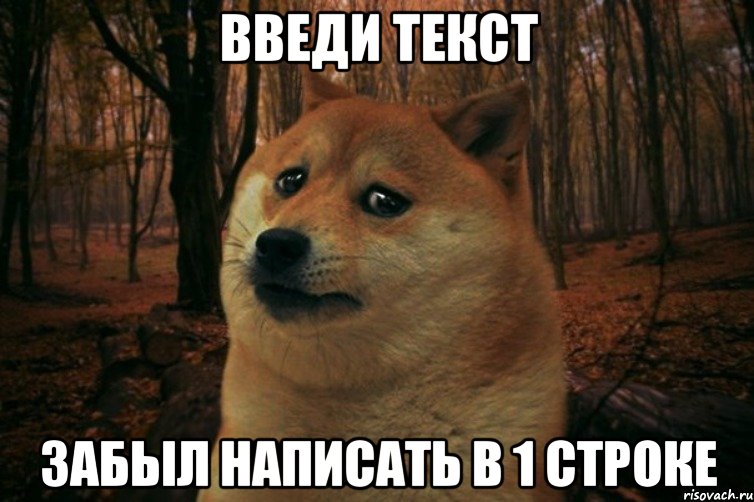 введи текст забыл написать в 1 строке, Мем SAD DOGE