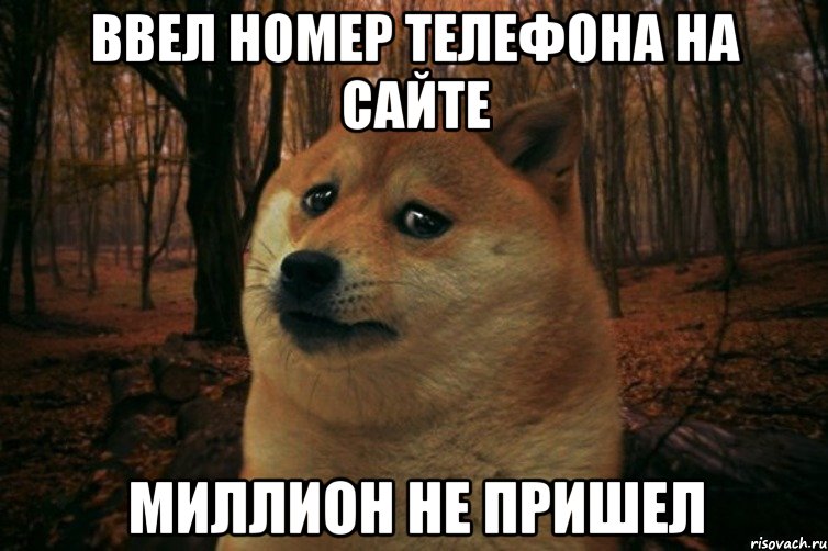 ввел номер телефона на сайте миллион не пришел, Мем SAD DOGE