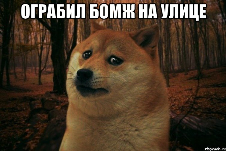 Ограбил бомж на улице , Мем SAD DOGE