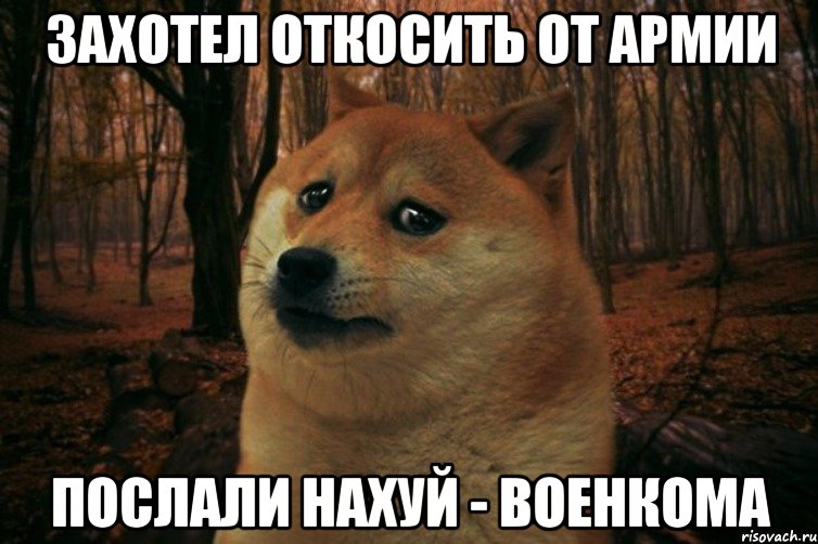 ЗАХОТЕЛ ОТКОСИТЬ ОТ АРМИИ ПОСЛАЛИ НАХУЙ - ВОЕНКОМА, Мем SAD DOGE