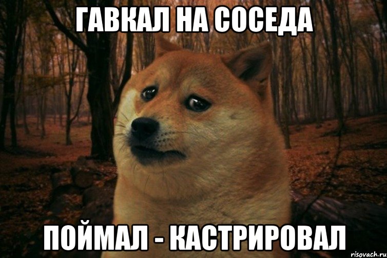 ГАВКАЛ НА СОСЕДА ПОЙМАЛ - КАСТРИРОВАЛ, Мем SAD DOGE