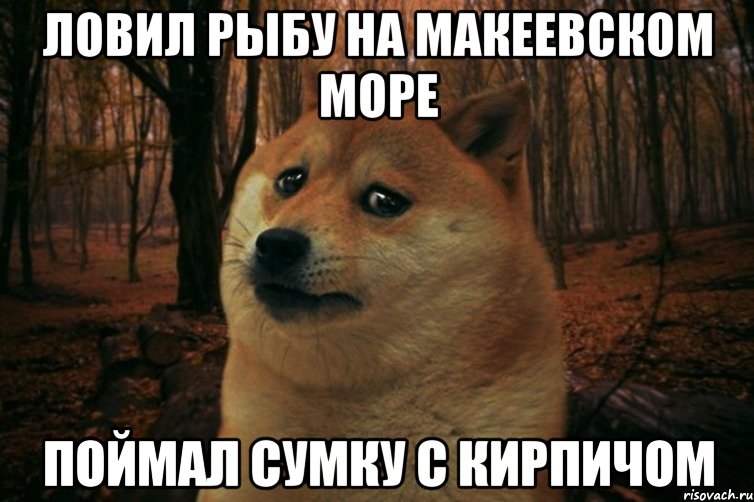 Ловил Рыбу на Макеевском море поймал сумку с кирпичом, Мем SAD DOGE