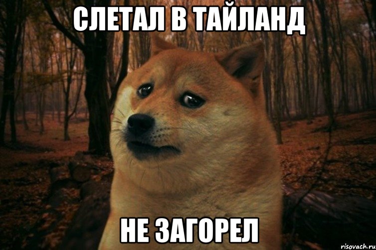 Слетал в Тайланд не загорел, Мем SAD DOGE