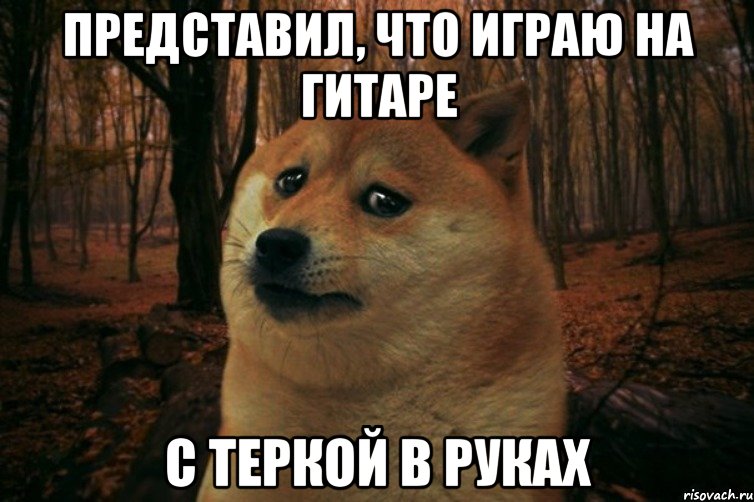 ПРЕДСТАВИЛ, ЧТО ИГРАЮ НА ГИТАРЕ С ТЕРКОЙ В РУКАХ, Мем SAD DOGE