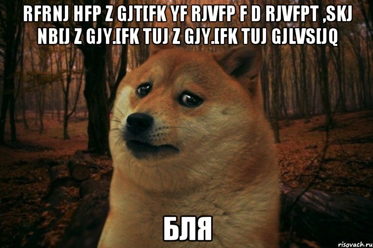 Rfrnj hfp z gjt[fk yf rjvfp f d rjvfpt ,skj nb[j z gjy.[fk tuj z gjy.[fk tuj gjlvs[jq Бля, Мем SAD DOGE