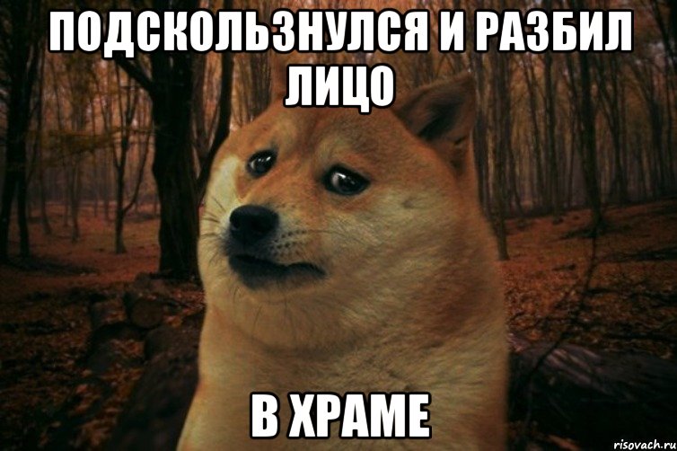 Подскользнулся и разбил лицо в храме, Мем SAD DOGE