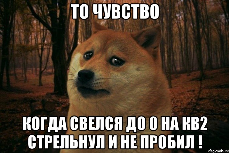 ТО ЧУВСТВО КОГДА СВЕЛСЯ ДО 0 НА КВ2 СТРЕЛЬНУЛ И НЕ ПРОБИЛ !, Мем SAD DOGE