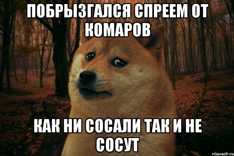 побрызгался спреем от комаров как ни сосали так и не сосут, Мем SAD DOGE