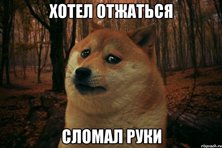 Хотел отжаться Сломал руки, Мем SAD DOGE