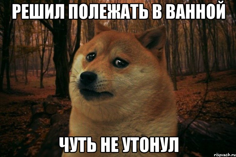 РЕШИЛ ПОЛЕЖАТЬ В ВАННОЙ ЧУТЬ НЕ УТОНУЛ, Мем SAD DOGE