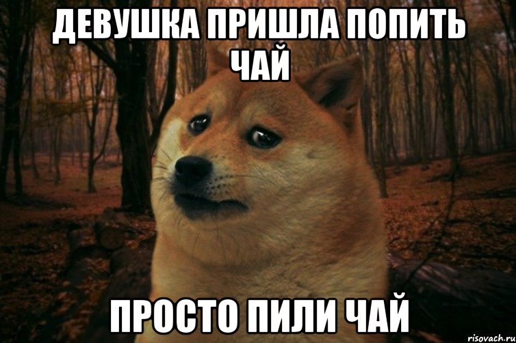 девушка пришла попить чай просто пили чай, Мем SAD DOGE