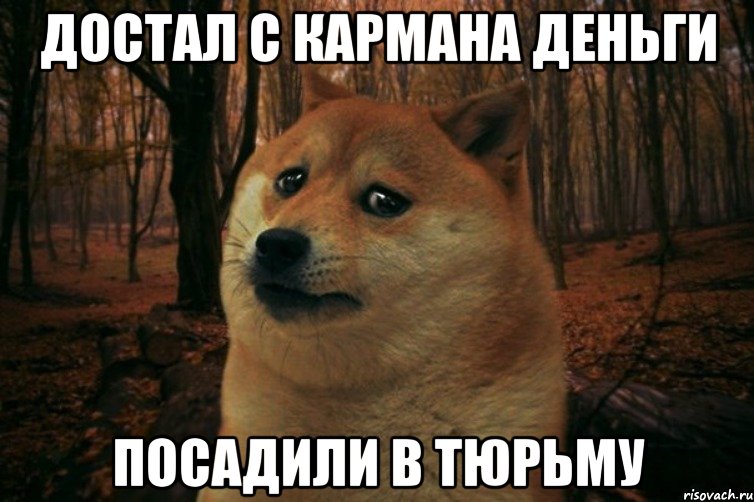 ДОСТАЛ С КАРМАНА ДЕНЬГИ ПОСАДИЛИ В ТЮРЬМУ, Мем SAD DOGE