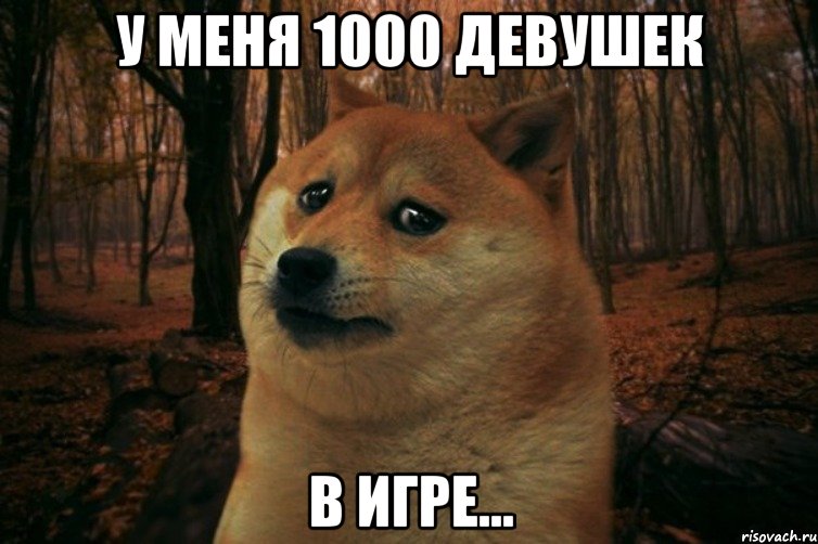 У меня 1000 девушек В игре..., Мем SAD DOGE