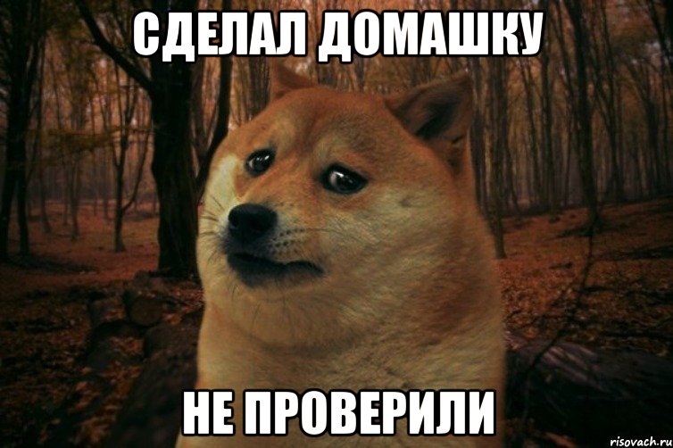 сделал домашку не проверили, Мем SAD DOGE