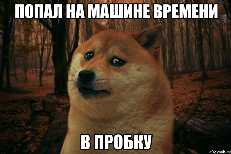 попал на машине времени в пробку, Мем SAD DOGE