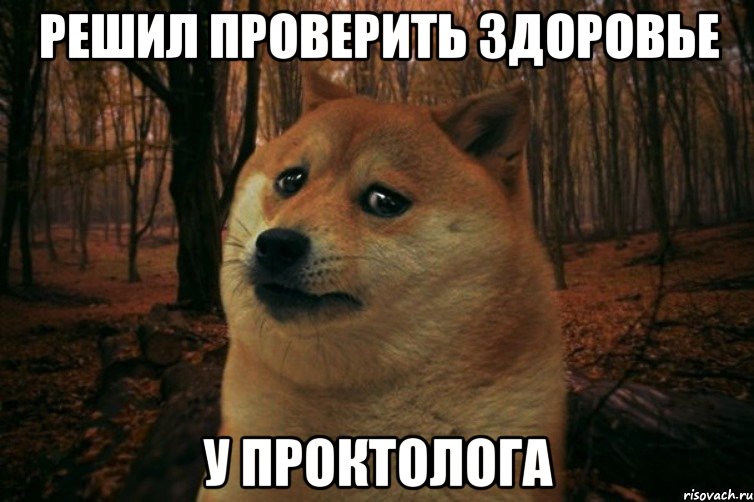 Решил проверить здоровье у проктолога, Мем SAD DOGE