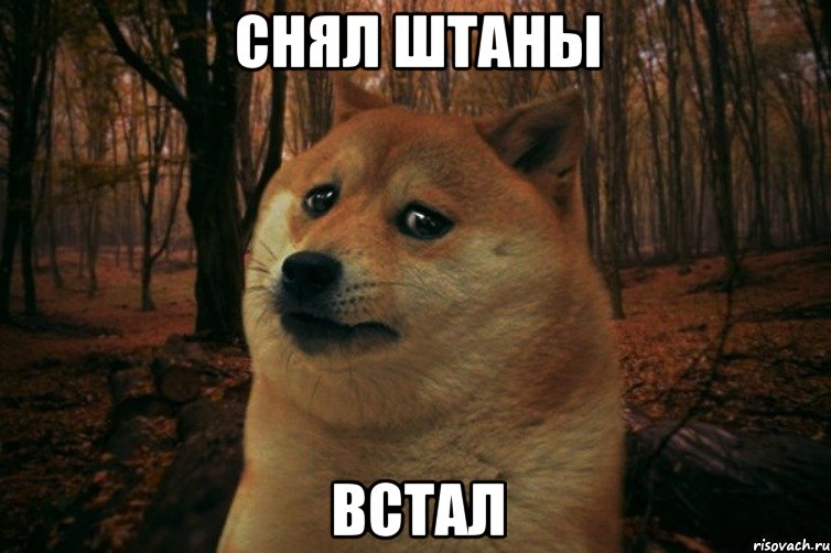 Снял штаны Встал, Мем SAD DOGE