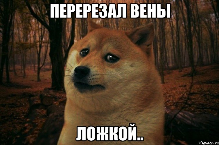 ПЕРЕРЕЗАЛ ВЕНЫ ЛОЖКОЙ.., Мем SAD DOGE