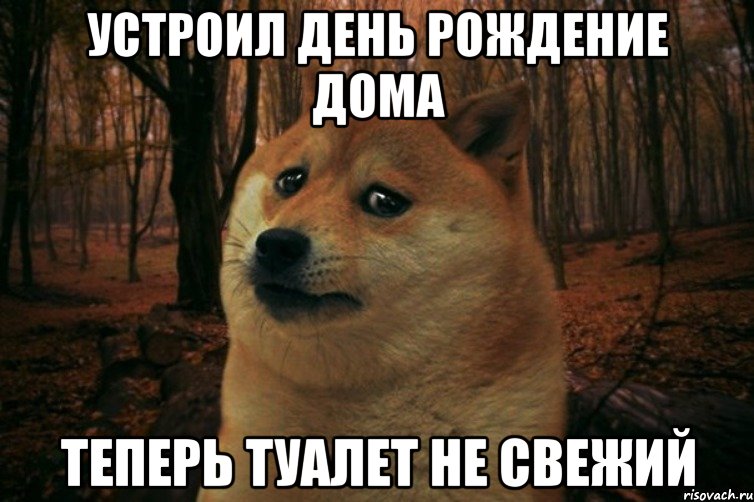 Устроил день рождение дома Теперь туалет не свежий, Мем SAD DOGE