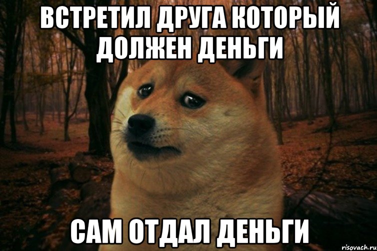 Встретил друга который должен деньги сам отдал деньги, Мем SAD DOGE