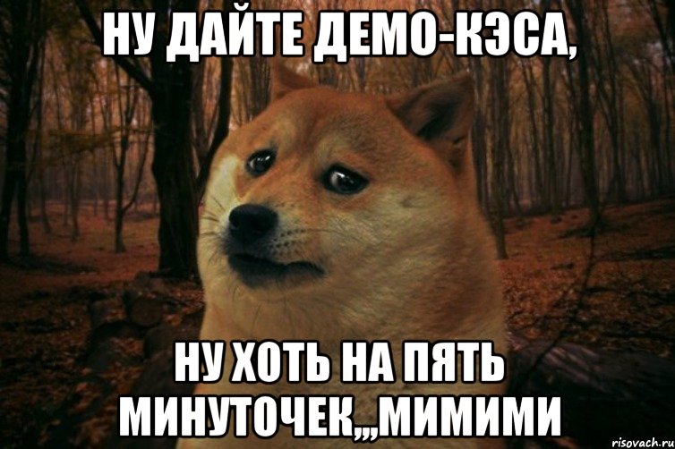 Ну дайте демо-кэса, ну хоть на пять минуточек,,,мимими, Мем SAD DOGE