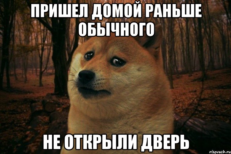 Пришел домой раньше обычного Не открыли дверь, Мем SAD DOGE