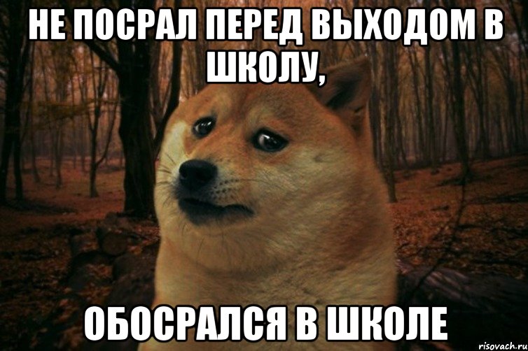 Не посрал перед выходом в школу, обосрался в школе, Мем SAD DOGE