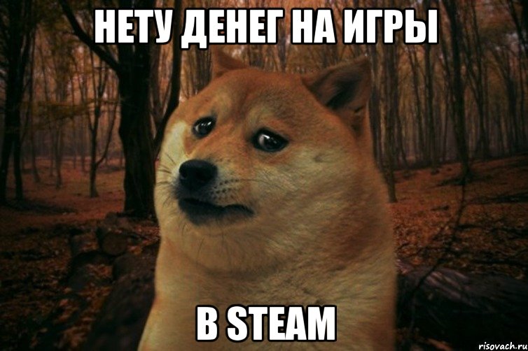 Нету денег на игры В Steam, Мем SAD DOGE