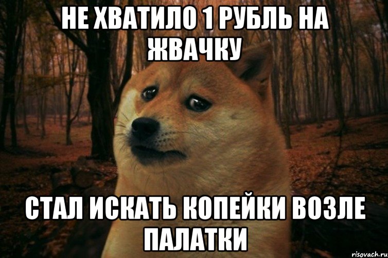 Не хватило 1 рубль на жвачку Стал искать копейки возле палатки, Мем SAD DOGE