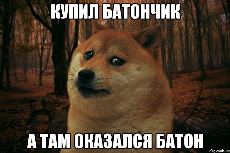 Купил батончик А там оказался батон, Мем SAD DOGE