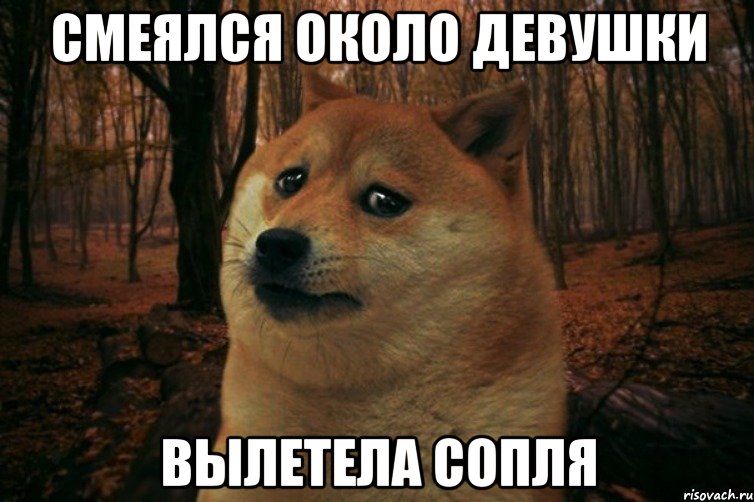 смеялся около девушки вылетела сопля, Мем SAD DOGE