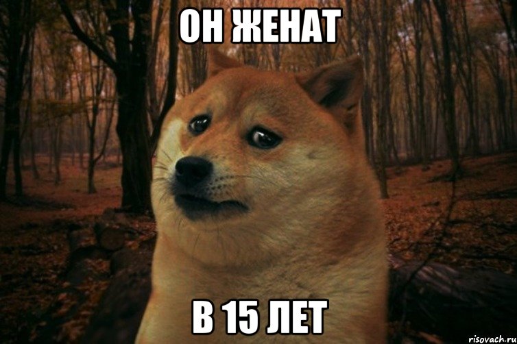 ОН ЖЕНАТ В 15 ЛЕТ, Мем SAD DOGE