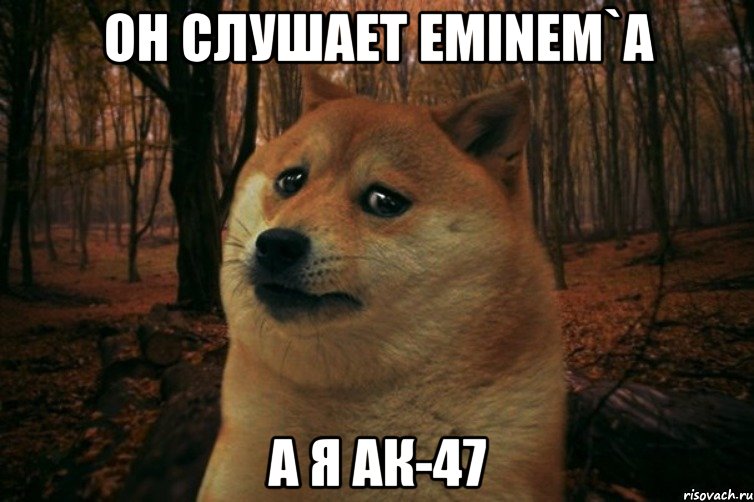 ОН СЛУШАЕТ EMINEM`a А Я АК-47, Мем SAD DOGE