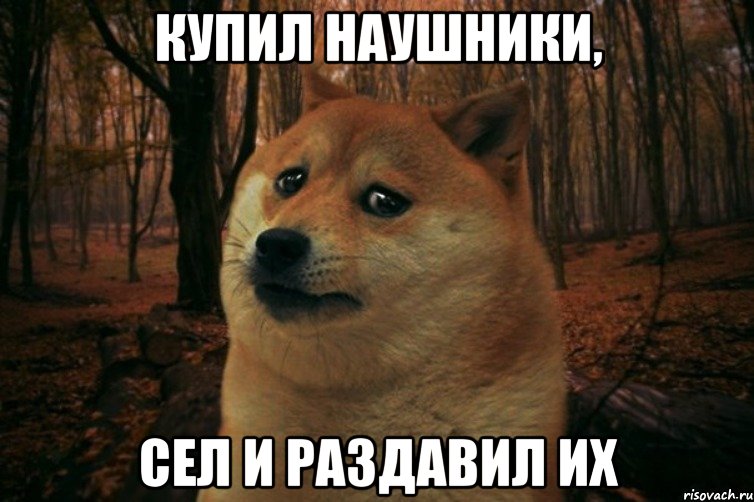 Купил наушники, Сел и раздавил их, Мем SAD DOGE