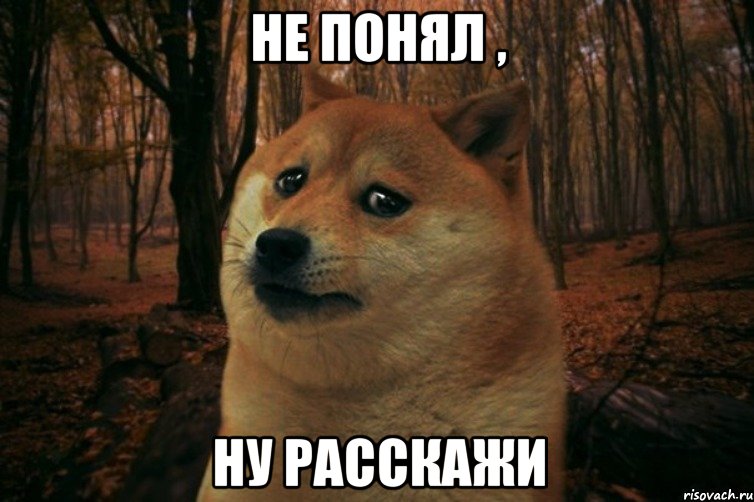 не понял , ну расскажи, Мем SAD DOGE