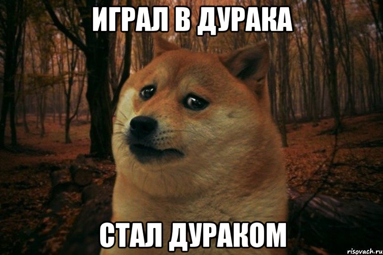 Играл в дурака Стал дураком, Мем SAD DOGE