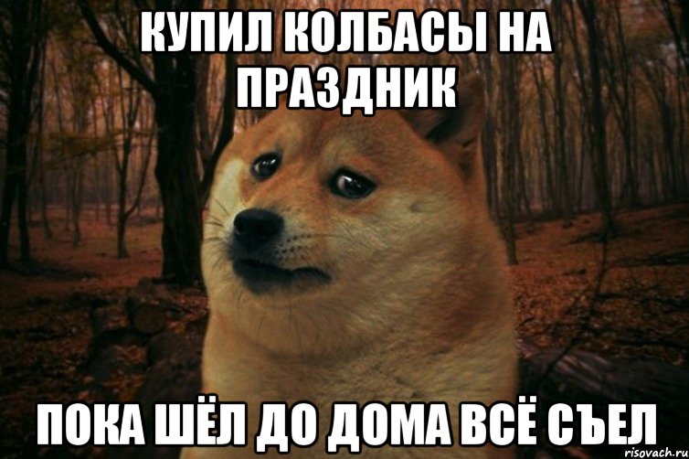 Купил колбасы на праздник Пока шёл до дома всё съел, Мем SAD DOGE