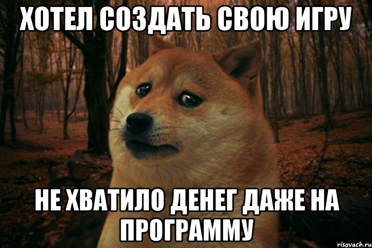 Хотел создать свою игру Не хватило денег даже на программу, Мем SAD DOGE