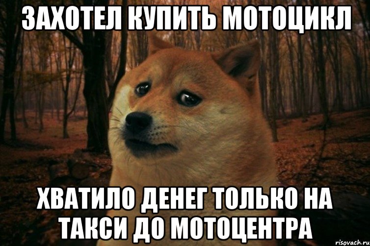 захотел купить мотоцикл Хватило денег только на такси до мотоцентра, Мем SAD DOGE