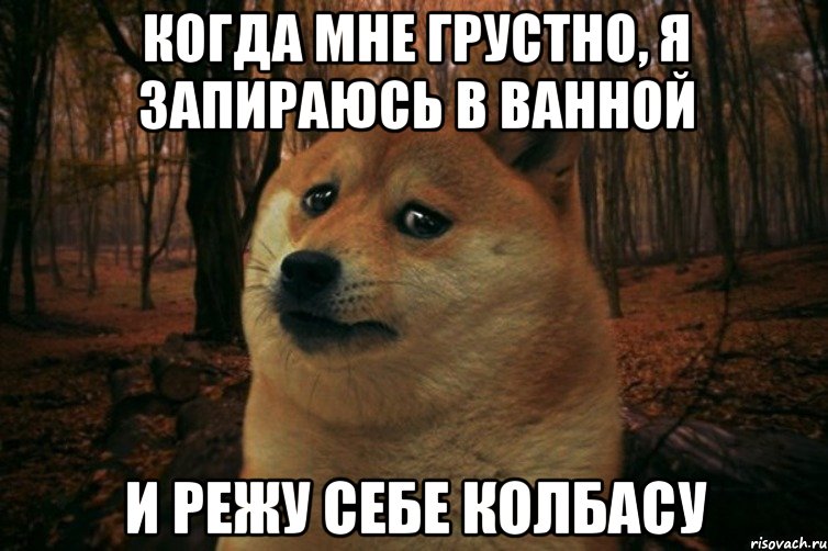 когда мне грустно, я запираюсь в ванной и режу себе колбасу, Мем SAD DOGE