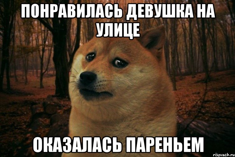 Понравилась девушка на улице оказалась пареньем, Мем SAD DOGE