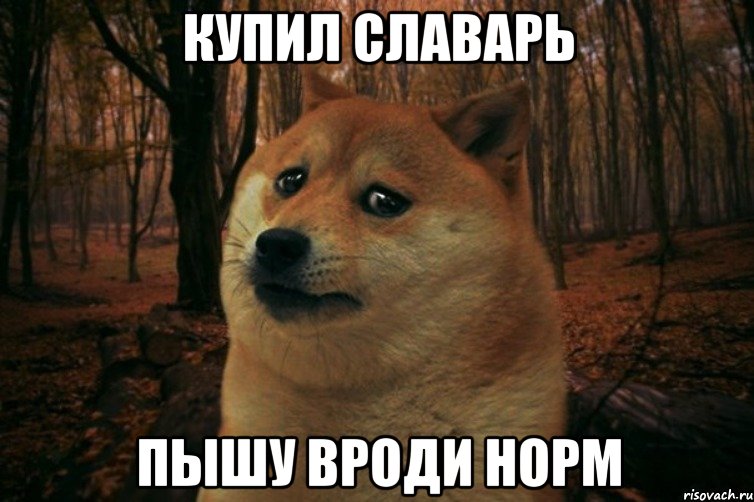 Купил славарь пышу вроди норм, Мем SAD DOGE