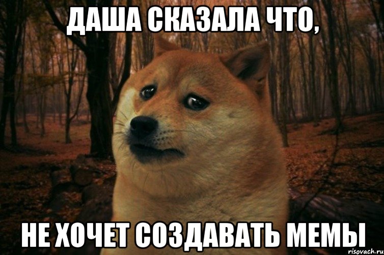 Даша сказала что, не хочет создавать мемы, Мем SAD DOGE