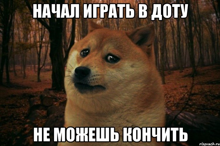 Начал играть в доту Не можешь кончить, Мем SAD DOGE