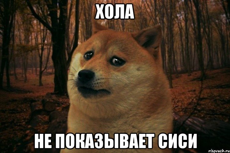 Хола не показывает сиси, Мем SAD DOGE