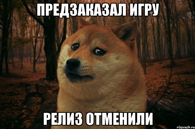 Предзаказал игру Релиз отменили, Мем SAD DOGE