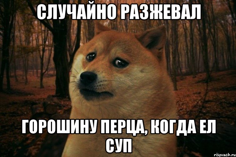 случайно разжевал горошину перца, когда ел суп, Мем SAD DOGE